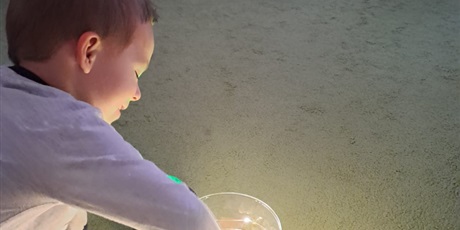 Powiększ grafikę: andrzejki-w-bursztybowym-domku-659538.jpg