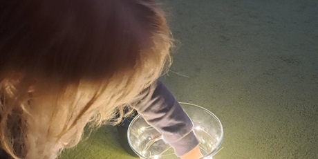 Powiększ grafikę: andrzejki-w-bursztybowym-domku-659539.jpg