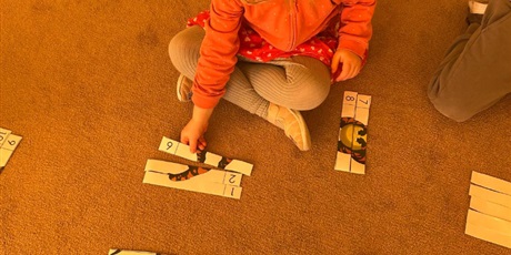 Powiększ grafikę: dzien-dinozaura-gr-iv-foczki-677510.jpg