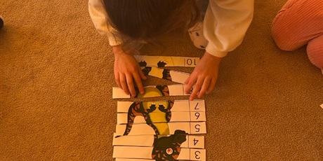 Powiększ grafikę: dzien-dinozaura-gr-iv-foczki-677511.jpg