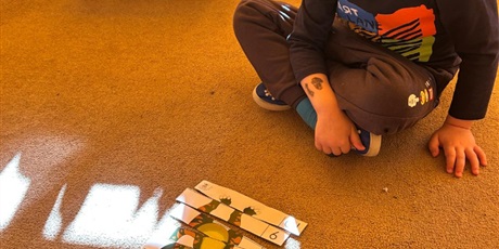 Powiększ grafikę: dzien-dinozaura-gr-iv-foczki-677516.jpg