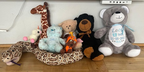 Powiększ grafikę: dzien-pluszowego-misia-659061.jpg