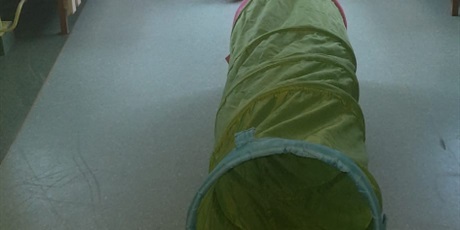 Powiększ grafikę: dzien-pluszowego-misia-659079.jpg