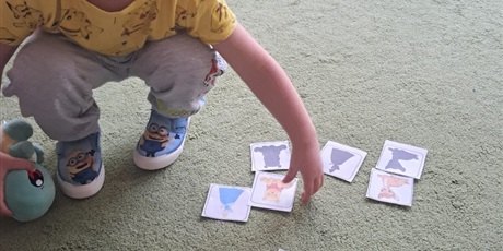 Powiększ grafikę: dzien-postaci-z-bajek-gr-ii-delfinki-653571.jpg