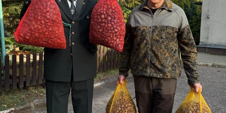 Powiększ grafikę: jesienna-akcja-zbierania-kasztanow-wspieramy-zwierzeta-lesne-655516.jpg