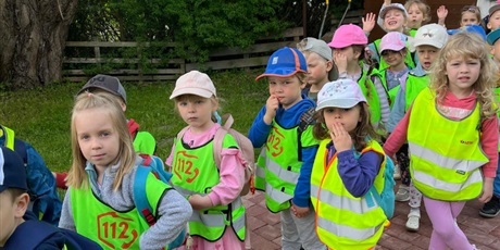 Powiększ grafikę: lemur-park-gr-iii-muszelki-621055.jpg