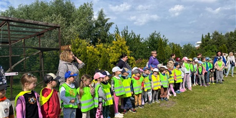 Powiększ grafikę: lemur-park-gr-iii-muszelki-621057.jpg