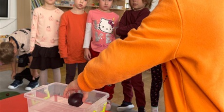 Powiększ grafikę: powitanie-jesieni-w-bursztynowym-domku-712793.jpg