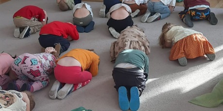 Powiększ grafikę: straz-miejska-dzikie-zwierzeta-w-miescie-gr-iii-gdanskie-lwiatka-677522.jpg