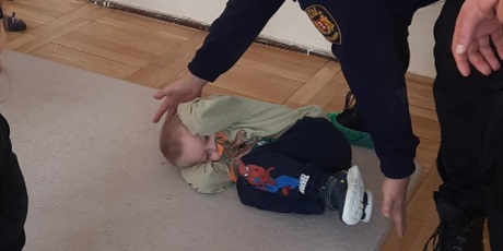 Powiększ grafikę: straz-miejska-dzikie-zwierzeta-w-miescie-gr-iii-gdanskie-lwiatka-677523.jpg