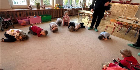 Powiększ grafikę: straz-miejska-dzikie-zwierzeta-w-miescie-gr-iv-foczki-677528.jpg