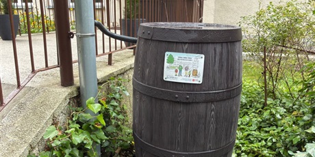 Powiększ grafikę: szkola-w-woda-z-nieba-mala-retencja-dla-klimatu-710659.jpg