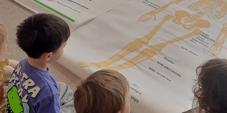 Powiększ grafikę: tajemnice-naszego-ciala-gr-iii-gdanskie-lwiatka-682393.jpg