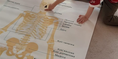 Powiększ grafikę: tajemnice-naszego-ciala-gr-iii-gdanskie-lwiatka-682394.jpg