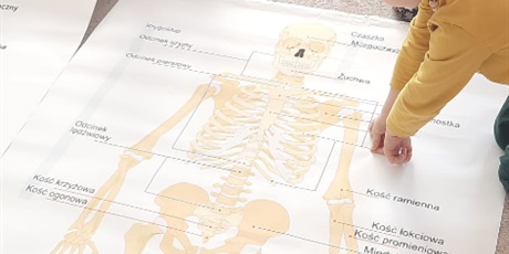 Powiększ grafikę: tajemnice-naszego-ciala-gr-iii-gdanskie-lwiatka-682395.jpg