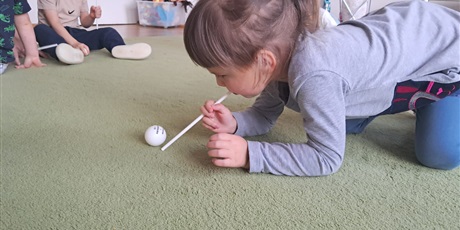 Powiększ grafikę: tydzien-eksperymentow-w-bursztynowym-domku-projekt-edukacyjny-maly-badacz-i-odkrywca-651295.jpg