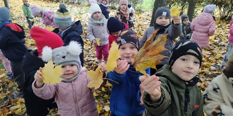 Powiększ grafikę: tydzien-eksperymentow-w-bursztynowym-domku-projekt-edukacyjny-maly-badacz-i-odkrywca-651302.jpg