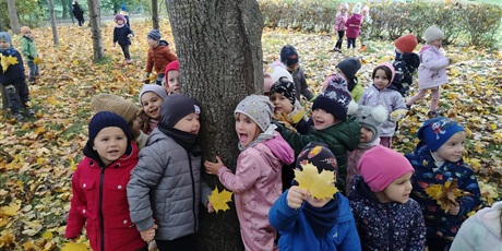 Powiększ grafikę: tydzien-eksperymentow-w-bursztynowym-domku-projekt-edukacyjny-maly-badacz-i-odkrywca-651304.jpg