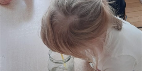 Powiększ grafikę: tydzien-eksperymentow-w-bursztynowym-domku-projekt-edukacyjny-maly-badacz-i-odkrywca-651309.jpg