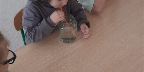 Powiększ grafikę: tydzien-eksperymentow-w-bursztynowym-domku-projekt-edukacyjny-maly-badacz-i-odkrywca-651311.jpg