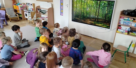 Powiększ grafikę: tydzien-eksperymentow-w-bursztynowym-domku-projekt-edukacyjny-maly-badacz-i-odkrywca-651312.jpg