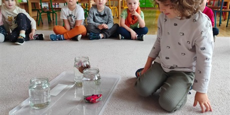 Powiększ grafikę: tydzien-eksperymentow-w-bursztynowym-domku-projekt-edukacyjny-maly-badacz-i-odkrywca-651320.jpg