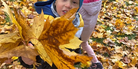 Powiększ grafikę: tydzien-eksperymentow-w-bursztynowym-domku-projekt-edukacyjny-maly-badacz-i-odkrywca-651328.jpg