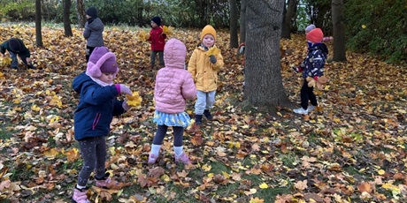 Powiększ grafikę: tydzien-eksperymentow-w-bursztynowym-domku-projekt-edukacyjny-maly-badacz-i-odkrywca-651329.jpg