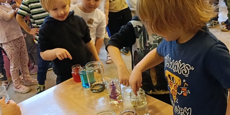 Powiększ grafikę: tydzien-eksperymentow-w-bursztynowym-domku-projekt-edukacyjny-maly-badacz-i-odkrywca-651337.jpg