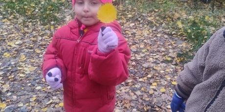 Powiększ grafikę: tydzien-eksperymentow-w-bursztynowym-domku-projekt-edukacyjny-maly-badacz-i-odkrywca-651356.jpg