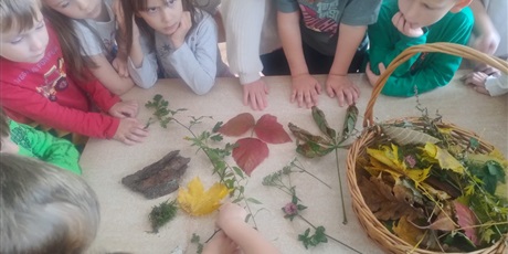 Powiększ grafikę: tydzien-eksperymentow-w-bursztynowym-domku-projekt-edukacyjny-maly-badacz-i-odkrywca-651363.jpg