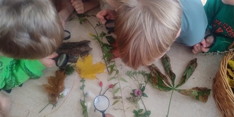 Powiększ grafikę: tydzien-eksperymentow-w-bursztynowym-domku-projekt-edukacyjny-maly-badacz-i-odkrywca-651364.jpg