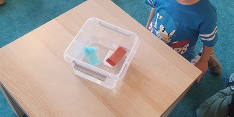 Powiększ grafikę: tydzien-eksperymentow-w-bursztynowym-domku-projekt-edukacyjny-maly-badacz-i-odkrywca-651366.jpg