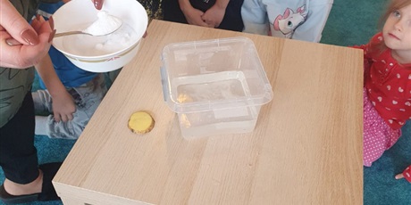 Powiększ grafikę: tydzien-eksperymentow-w-bursztynowym-domku-projekt-edukacyjny-maly-badacz-i-odkrywca-651369.jpg