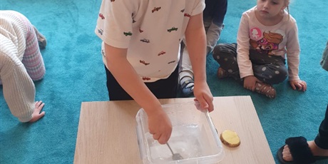 Powiększ grafikę: tydzien-eksperymentow-w-bursztynowym-domku-projekt-edukacyjny-maly-badacz-i-odkrywca-651370.jpg