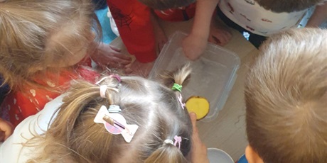 Powiększ grafikę: tydzien-eksperymentow-w-bursztynowym-domku-projekt-edukacyjny-maly-badacz-i-odkrywca-651372.jpg