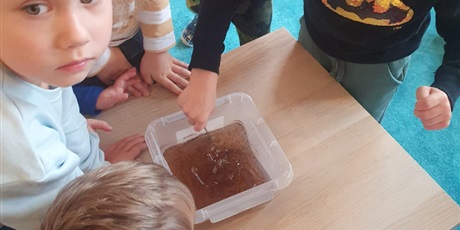 Powiększ grafikę: tydzien-eksperymentow-w-bursztynowym-domku-projekt-edukacyjny-maly-badacz-i-odkrywca-651377.jpg