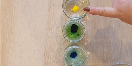 Powiększ grafikę: tydzien-eksperymentow-w-bursztynowym-domku-projekt-edukacyjny-maly-badacz-i-odkrywca-651383.jpg