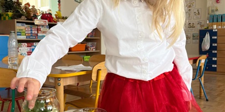 Powiększ grafikę: tydzien-eksperymentow-w-bursztynowym-domku-projekt-edukacyjny-maly-badacz-i-odkrywca-651408.jpg