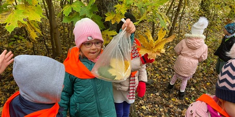Powiększ grafikę: tydzien-eksperymentow-w-bursztynowym-domku-projekt-edukacyjny-maly-badacz-i-odkrywca-651413.jpg