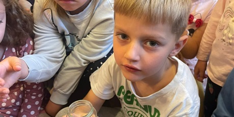 Powiększ grafikę: tydzien-eksperymentow-w-bursztynowym-domku-projekt-edukacyjny-maly-badacz-i-odkrywca-651418.jpg