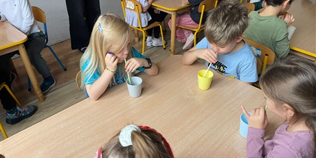 Powiększ grafikę: tydzien-eksperymentow-w-bursztynowym-domku-projekt-edukacyjny-maly-badacz-i-odkrywca-651421.jpg