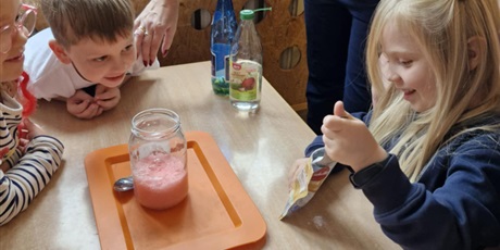 Powiększ grafikę: tydzien-eksperymentow-w-bursztynowym-domku-projekt-edukacyjny-maly-badacz-i-odkrywca-651428.jpg