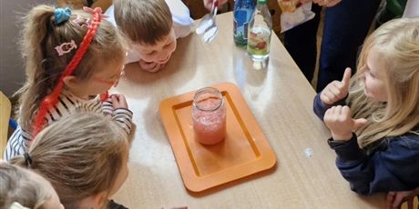 Powiększ grafikę: tydzien-eksperymentow-w-bursztynowym-domku-projekt-edukacyjny-maly-badacz-i-odkrywca-651429.jpg