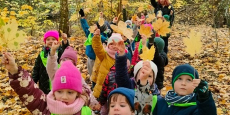 Powiększ grafikę: tydzien-eksperymentow-w-bursztynowym-domku-projekt-edukacyjny-maly-badacz-i-odkrywca-651435.jpg