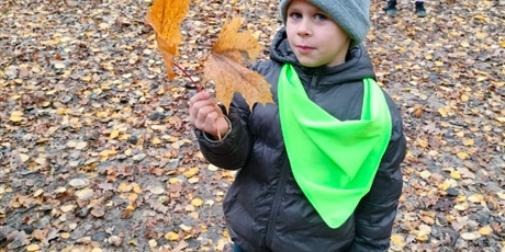 Powiększ grafikę: tydzien-eksperymentow-w-bursztynowym-domku-projekt-edukacyjny-maly-badacz-i-odkrywca-651438.jpg