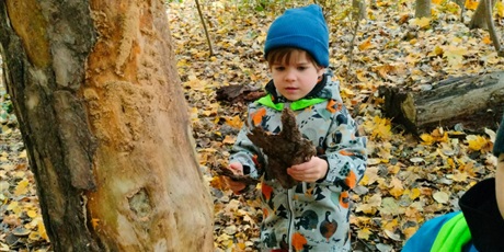 Powiększ grafikę: tydzien-eksperymentow-w-bursztynowym-domku-projekt-edukacyjny-maly-badacz-i-odkrywca-651439.jpg