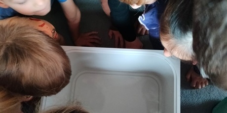 Powiększ grafikę: tydzien-eksperymentow-w-bursztynowym-domku-projekt-edukacyjny-maly-badacz-i-odkrywca-651441.jpg