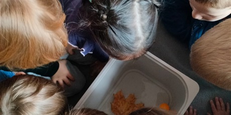 Powiększ grafikę: tydzien-eksperymentow-w-bursztynowym-domku-projekt-edukacyjny-maly-badacz-i-odkrywca-651442.jpg