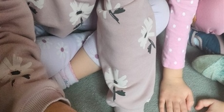 Powiększ grafikę: tydzien-eksperymentow-w-bursztynowym-domku-projekt-edukacyjny-maly-badacz-i-odkrywca-651450.jpg